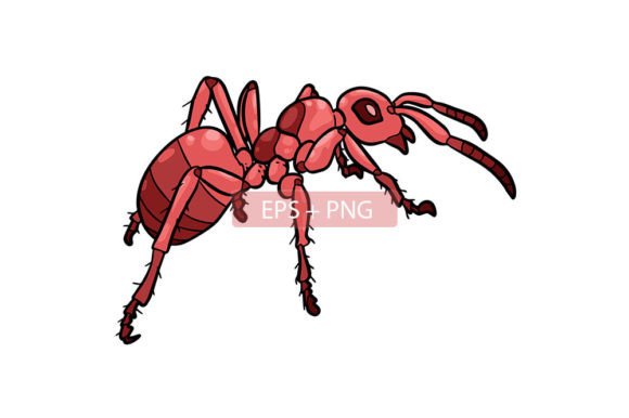 Ant Insect Animal Illustration: A Design Asset for Educators and Creators
