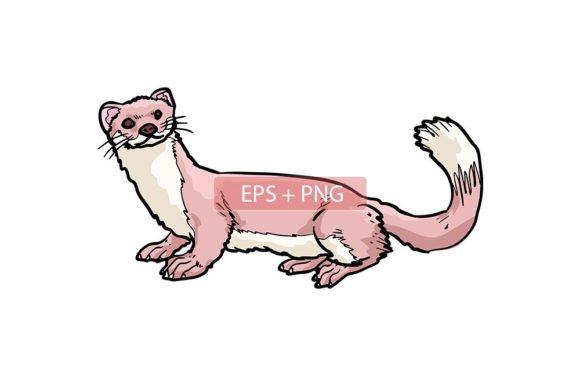 Bringing Character to Life: The Weasel Illustration