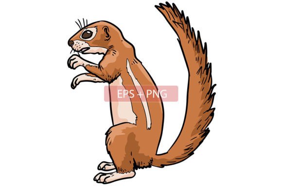 Bringing Character to Life: The Xerus Squirrel Animal Illustration