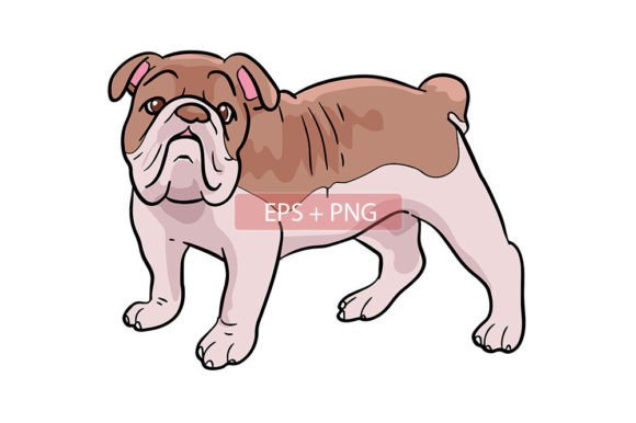 Bulldog Mammals Animal Illustration: A Designer's Asset Guide