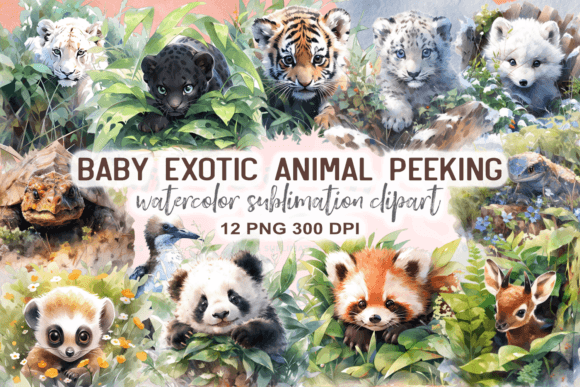 Captivating Cuteness: Using Baby Exotic Animal Peeking Clipart