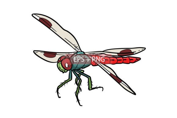 Dragonfly Insect Animal Illustration: Versatile Design Asset