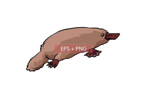 Platypus Animal Vector Illustration: A Designer's Asset Guide