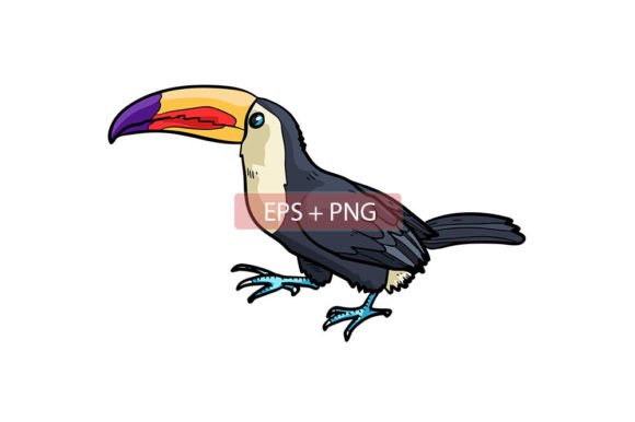 Toucan Bird Animal Illustration: A Designer's Colorful Companion